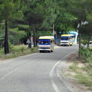 Cabrio Bus Safari Recently Added Experiences