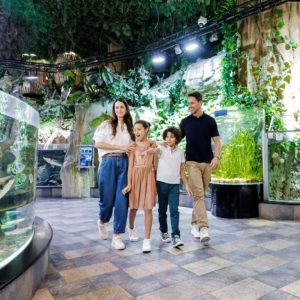 Dubai Aquarium & Underwater Zoo - Ultimate Experience Recently Added Experiences