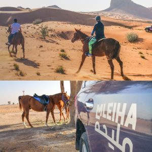 Horse Back Riding Desert Hack Sports Events