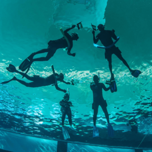 Deep Dive Dubai Surface Snorkeling Experience Water Sports