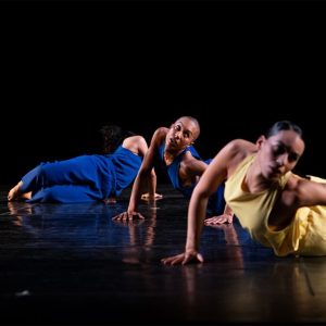 In The Fall | Working Title - Trisha Brown Dance Company Shows and Theatrical Plays